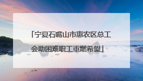 宁夏石嘴山市惠农区总工会助困难职工重燃希望
