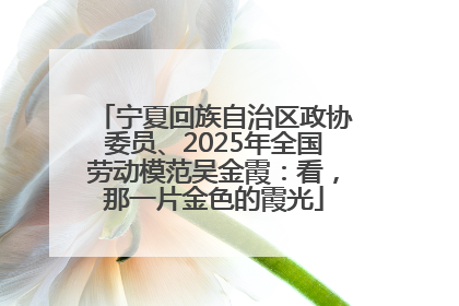 宁夏回族自治区政协委员、2025年全国劳动模范吴金霞：看，那一片金色的霞光