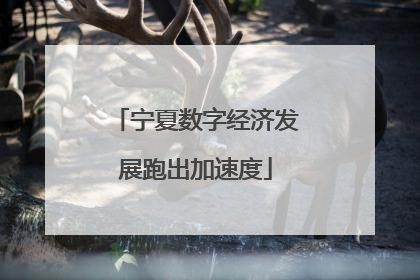 宁夏数字经济发展跑出加速度