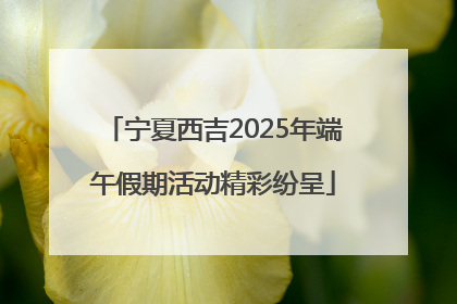 宁夏西吉2025年端午假期活动精彩纷呈