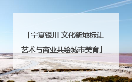 宁夏银川 文化新地标让艺术与商业共绘城市美育