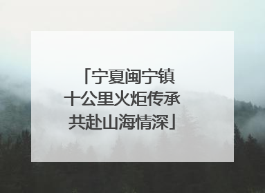 宁夏闽宁镇 十公里火炬传承共赴山海情深