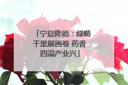 宁夏隆德：绿畴千里展画卷 药香四溢产业兴
