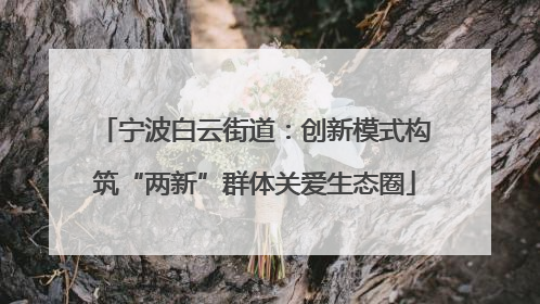 宁波白云街道：创新模式构筑“两新”群体关爱生态圈