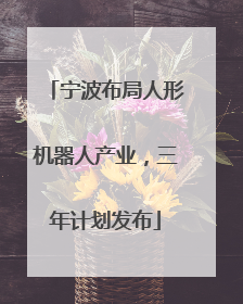宁波布局人形机器人产业，三年计划发布