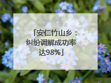安仁竹山乡：纠纷调解成功率达98%