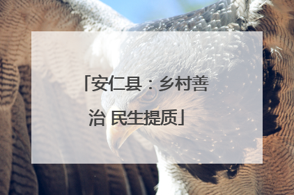安仁县：乡村善治 民生提质