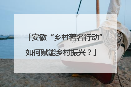 安徽“乡村著名行动”如何赋能乡村振兴？