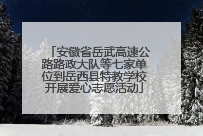 安徽省岳武高速公路路政大队等七家单位到岳西县特教学校开展爱心志愿活动