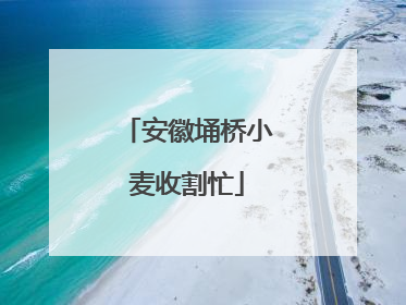 安徽埇桥小麦收割忙