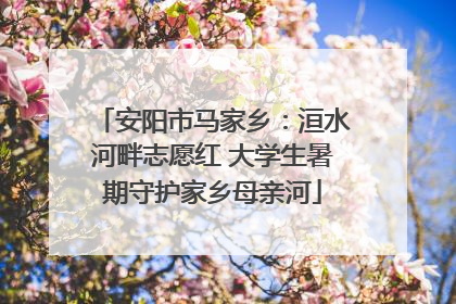 安阳市马家乡：洹水河畔志愿红 大学生暑期守护家乡母亲河