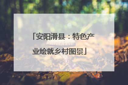 安阳滑县：特色产业绘就乡村图景