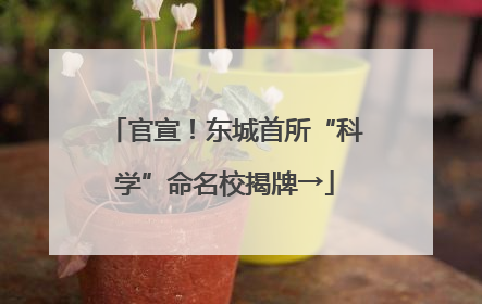 官宣！东城首所“科学”命名校揭牌→