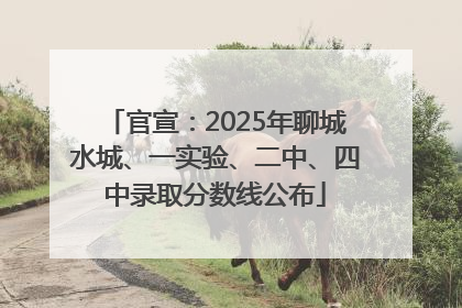 官宣：2025年聊城水城、一实验、二中、四中录取分数线公布