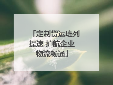 定制货运班列提速 护航企业物流畅通