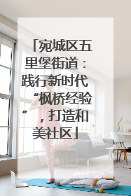 宛城区五里堡街道：践行新时代“枫桥经验”，打造和美社区