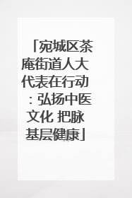 宛城区茶庵街道人大代表在行动：弘扬中医文化 把脉基层健康