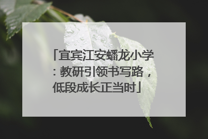 宜宾江安蟠龙小学：教研引领书写路，低段成长正当时