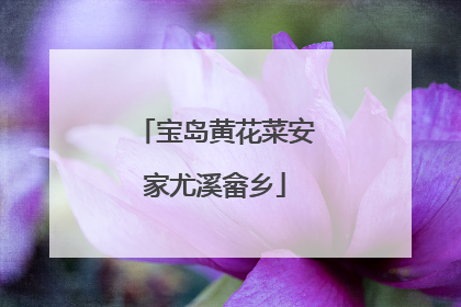 宝岛黄花菜安家尤溪畲乡