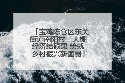 宝鸡陈仓区东关街道南阳村：大棚经济结硕果 绘就乡村振兴新图景