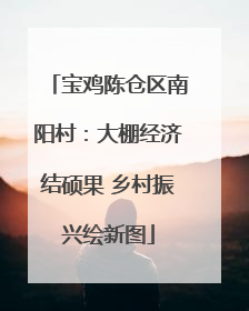 宝鸡陈仓区南阳村：大棚经济结硕果 乡村振兴绘新图