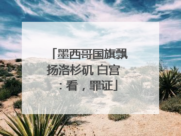 墨西哥国旗飘扬洛杉矶 白宫：看，罪证