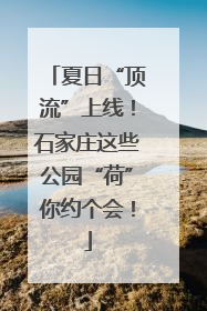 夏日“顶流”上线！石家庄这些公园“荷”你约个会！