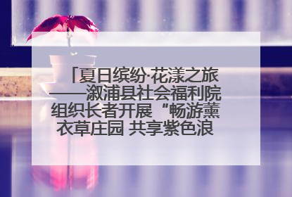 夏日缤纷·花漾之旅——溆浦县社会福利院组织长者开展“畅游薰衣草庄园 共享紫色浪漫”户外活动