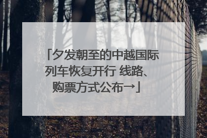 夕发朝至的中越国际列车恢复开行 线路、购票方式公布→