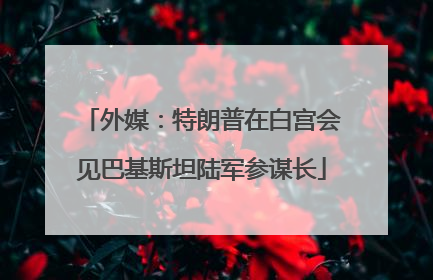 外媒：特朗普在白宫会见巴基斯坦陆军参谋长
