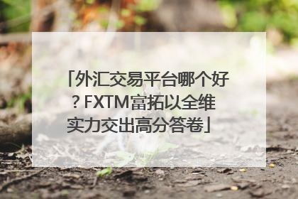 外汇交易平台哪个好？FXTM富拓以全维实力交出高分答卷