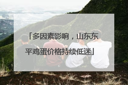 多因素影响，山东东平鸡蛋价格持续低迷