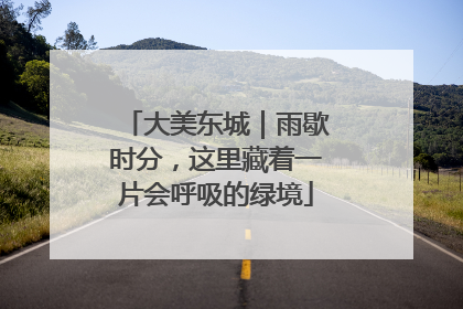大美东城｜雨歇时分，这里藏着一片会呼吸的绿境