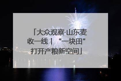 大众观察·山东麦收一线丨“一块田”打开产粮新空间
