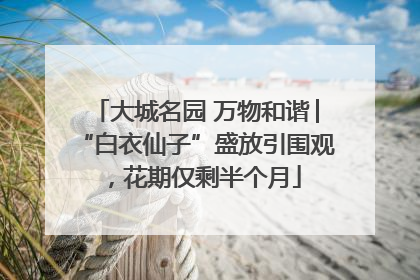 大城名园 万物和谐│“白衣仙子”盛放引围观，花期仅剩半个月