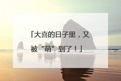 大喜的日子里，又被“萌”到了！