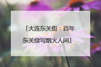 大连东关街：百年东关续写烟火人间
