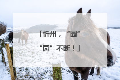 忻州，“园”“园”不断！