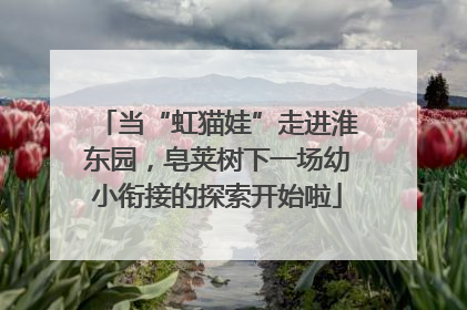 当“虹猫娃”走进淮东园，皂荚树下一场幼小衔接的探索开始啦