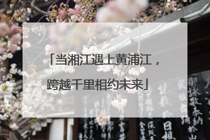 当湘江遇上黄浦江，跨越千里相约未来