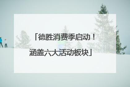 德胜消费季启动！涵盖六大活动板块
