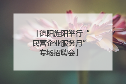 德阳旌阳举行“民营企业服务月”专场招聘会