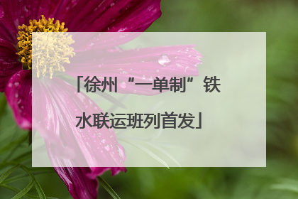 徐州“一单制”铁水联运班列首发