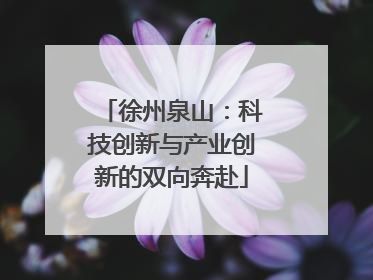 徐州泉山：科技创新与产业创新的双向奔赴