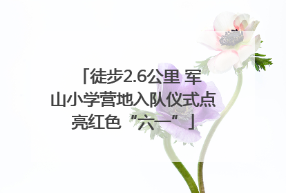 徒步2.6公里 军山小学营地入队仪式点亮红色“六一”