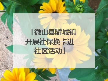微山县驩城镇开展社保换卡进社区活动