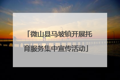 微山县马坡镇开展托育服务集中宣传活动