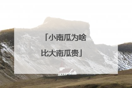 小南瓜为啥比大南瓜贵