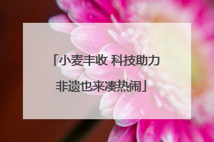 小麦丰收 科技助力 非遗也来凑热闹