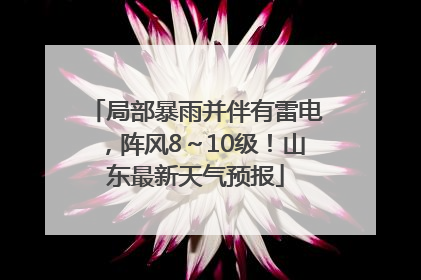 局部暴雨并伴有雷电，阵风8～10级！山东最新天气预报